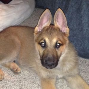 Meet your Posher, Jon